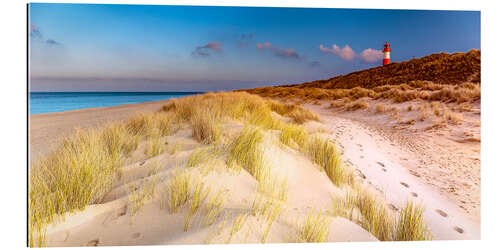 Galleriprint Dunes at the North Sea