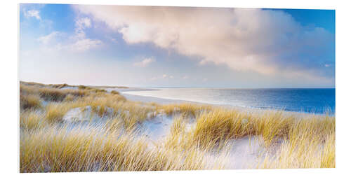 PVC-tavla Dunes and the Ocean