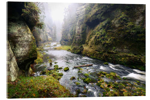 Cuadro de metacrilato Kamnitz Gorge in the Saxon Switzerland I