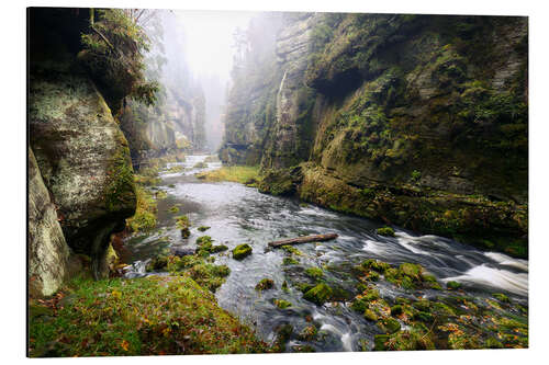 Stampa su alluminio Kamnitz Gorge in the Saxon Switzerland I