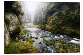 Alubild Kamnitzklamm in der sächsischen Schweiz I