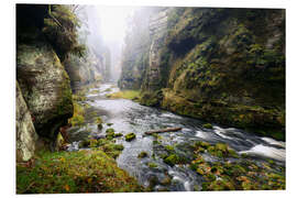 Foam board print Kamnitz Gorge in the Saxon Switzerland I