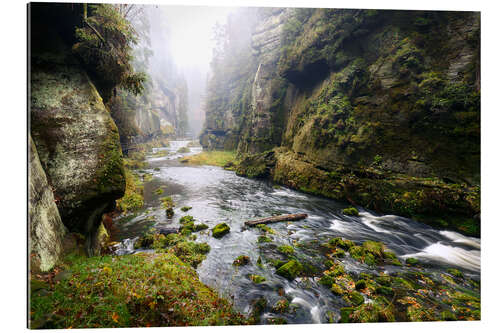 Tableau en plexi-alu Kamnitz Gorge in the Saxon Switzerland I