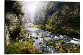 Galleritryk Kamnitz Gorge in the Saxon Switzerland I