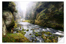 Selvklebende plakat Kamnitz Gorge in the Saxon Switzerland I