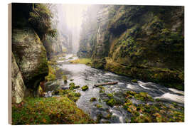 Trätavla Kamnitz Gorge in the Saxon Switzerland I