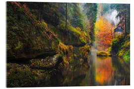 Acrylic print Kamnitz Gorge in the Saxon Switzerland III