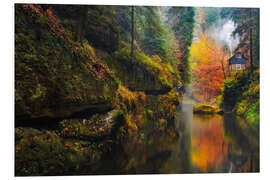 Foam board print Kamnitz Gorge in the Saxon Switzerland III