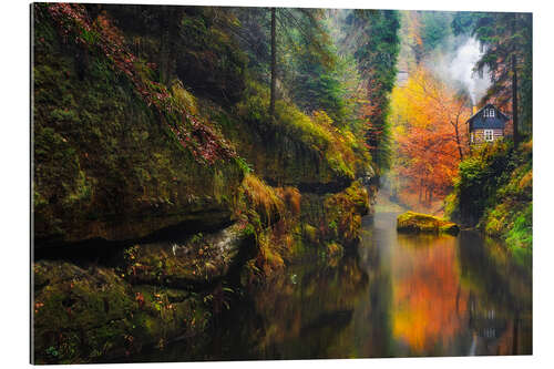 Gallery print Kamnitz Gorge in the Saxon Switzerland III