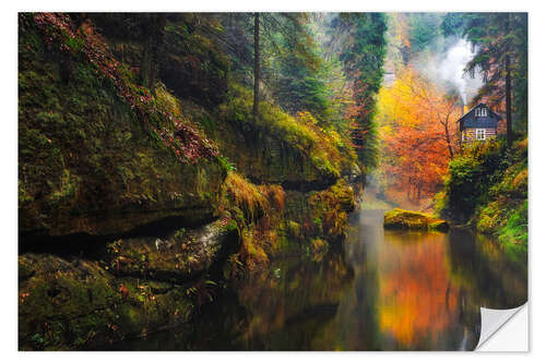 Selvklebende plakat Kamnitz Gorge in the Saxon Switzerland III