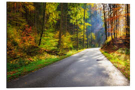 Cuadro de aluminio Road through autumn forest