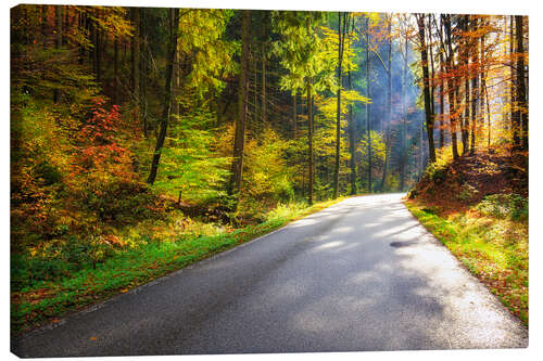 Canvas print Road through autumn forest