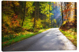 Leinwandbild Straße durch Herbstwald