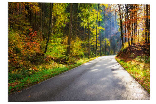 Stampa su PVC Road through autumn forest