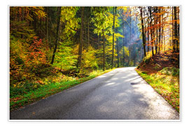 Tableau Route à travers une forêt en automne - Reemt Peters-Hein