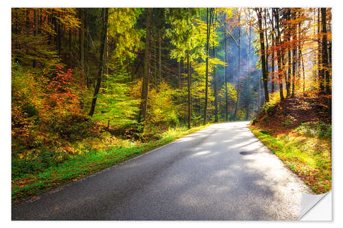 Selvklebende plakat Road through autumn forest