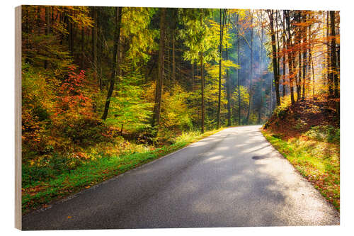 Wood print Road through autumn forest