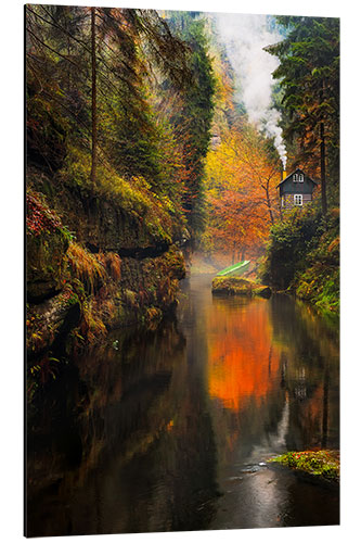 Aluminium print Kamnitz Gorge in the Saxon Switzerland II