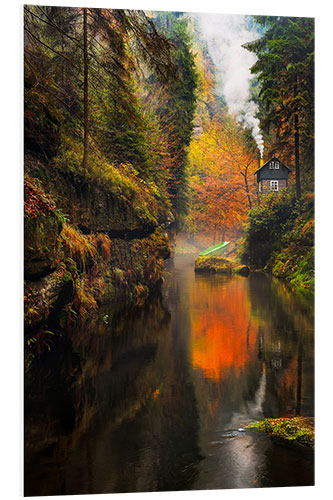 Foam board print Kamnitz Gorge in the Saxon Switzerland II