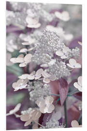 Foam board print hydrangea 