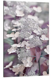 Magnettafel Hortensie