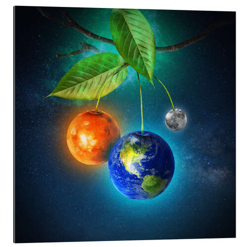 Gallery print Galaxtree