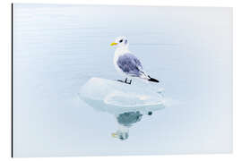 Tableau en aluminium Seegull Piece of Glacier