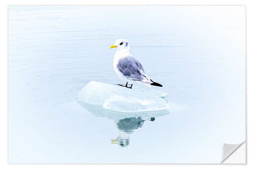 Selvklæbende plakat Seegull Piece of Glacier