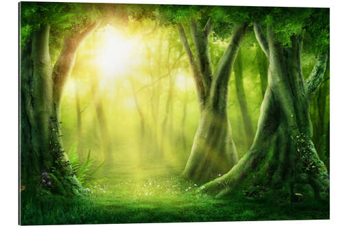 Gallery print Fairy Forest