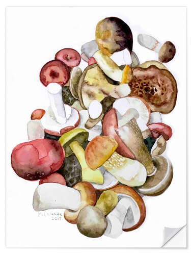 Selvklebende plakat Mushrooms