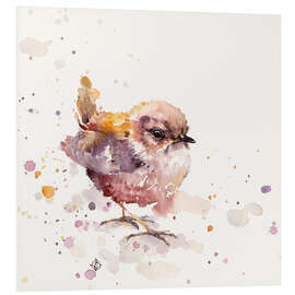 Foam board print Fluffy Le Wren (cute bird)