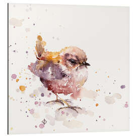 Magnettafel Flauschiger Zaunkönig