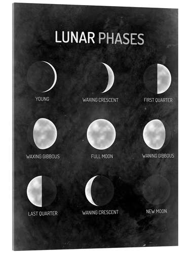 Akryylilasitaulu Moon phases - English