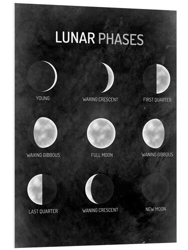 Bilde på skumplate Moon phases - English