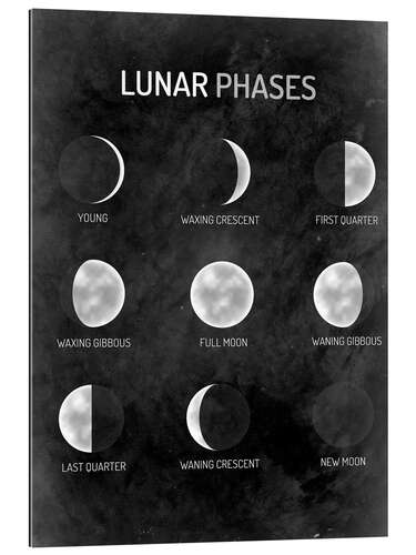 Quadro em plexi-alumínio Moon phases - English