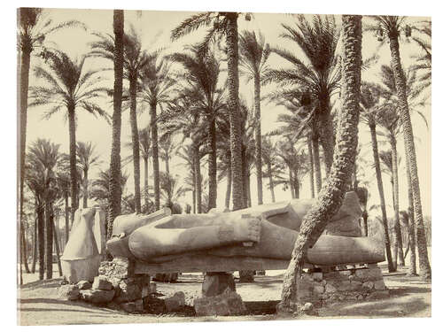 Akrylbillede Statue of Ramses II in Memphis