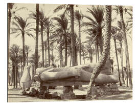 Galleriprint Statue of Ramses II in Memphis