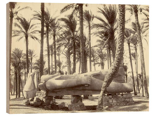 Puutaulu Statue of Ramses II in Memphis