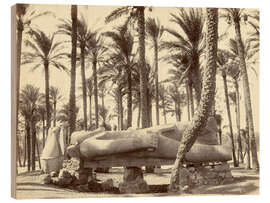 Wood print Statue of Ramses II in Memphis