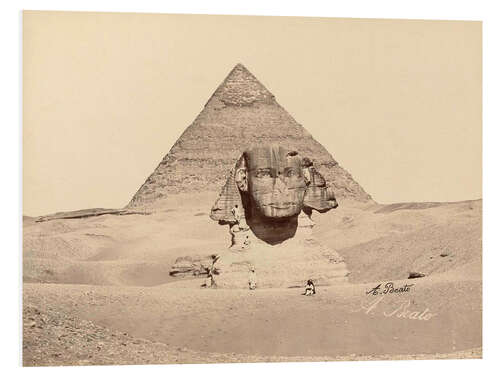 PVC-tavla Chephren pyramid and sphinx