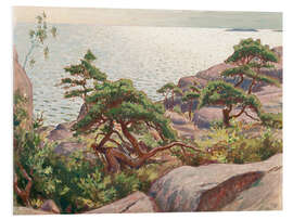 Foam board print Landscape with pine trees