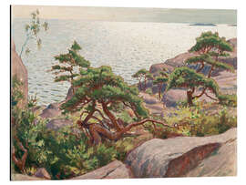 Magnettafel Landschaft mit Pinien