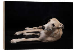 Quadro de madeira Whippet 3