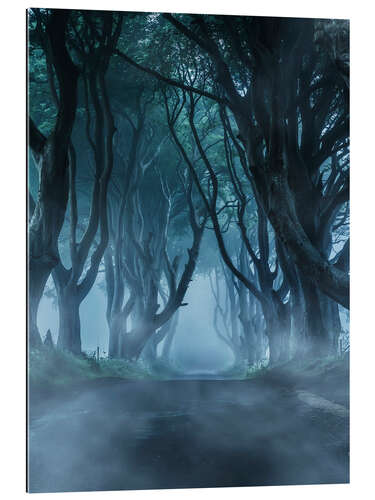 Gallery print Foggy alley in northern Ireland