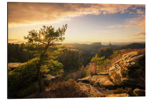 Cuadro de aluminio Saxony Switzerland - Sunset (Carolafelsen)