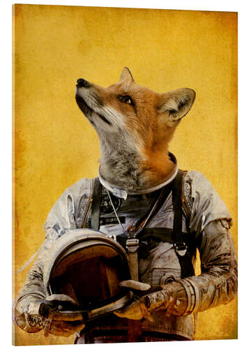 Acrylglasbild Space fox
