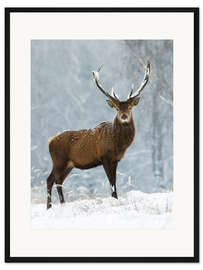 Gerahmter Kunstdruck Dezember-Romanze