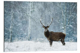 Magnettafel Stiller Moment im wilden Schneetreiben