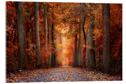 Acrylic print Red Forest