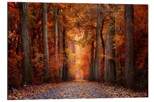 Tableau en aluminium Dans la forêt rouge